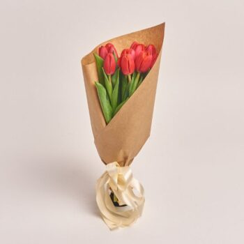 Red tulip