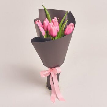 Pink Tulip